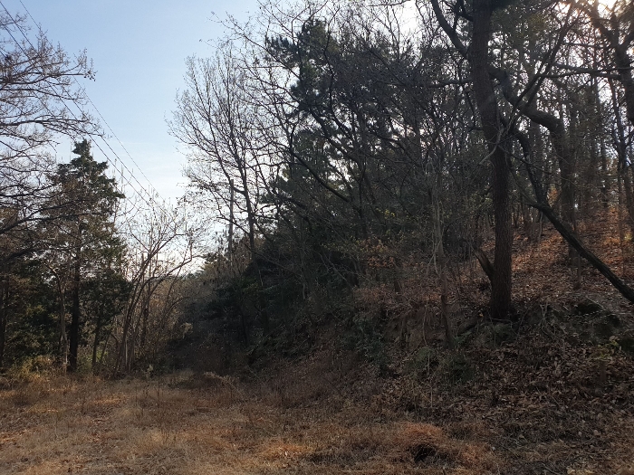 일련번호 11,12 토지