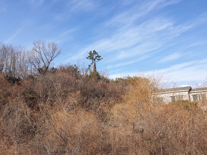 일련번호 13 토지