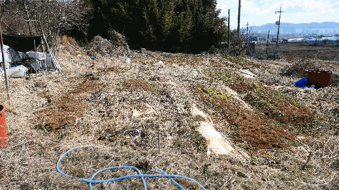 기호(4) 토지전경