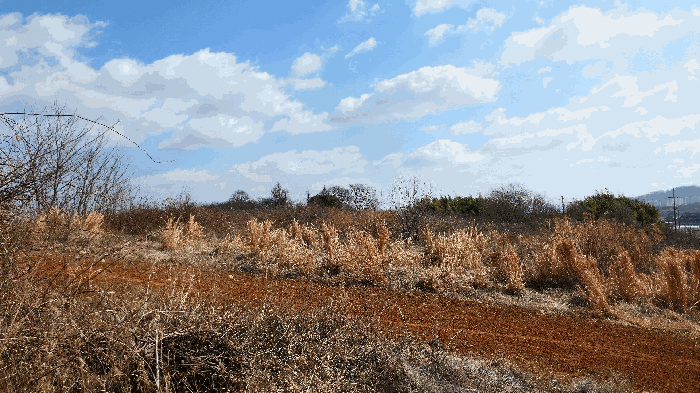 기호(2) 토지전경