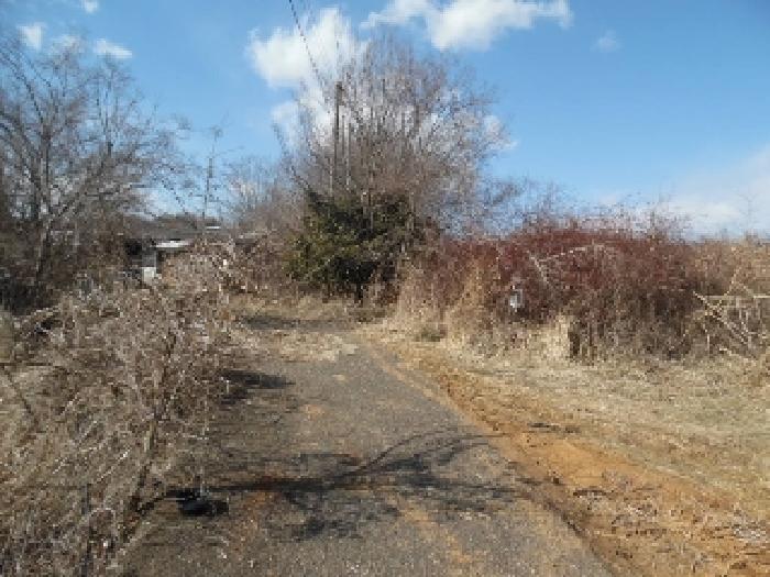 목록5. 토지(전) 전경(8)