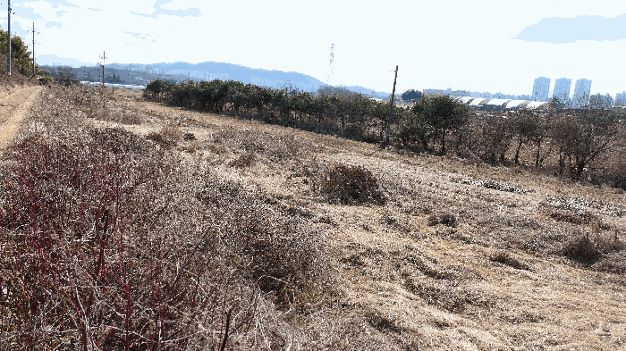 기호(1) 토지전경