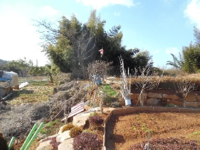 목록5. 토지(전) 전경(10)