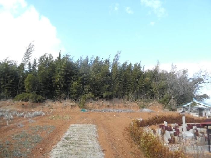 목록5. 토지(전) 전경(11)