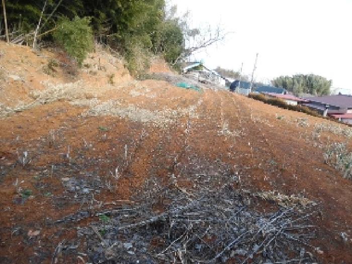 목록5. 토지(전) 전경(12)