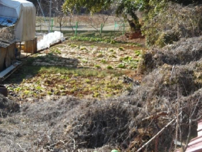 목록5. 토지(전) 전경(13)