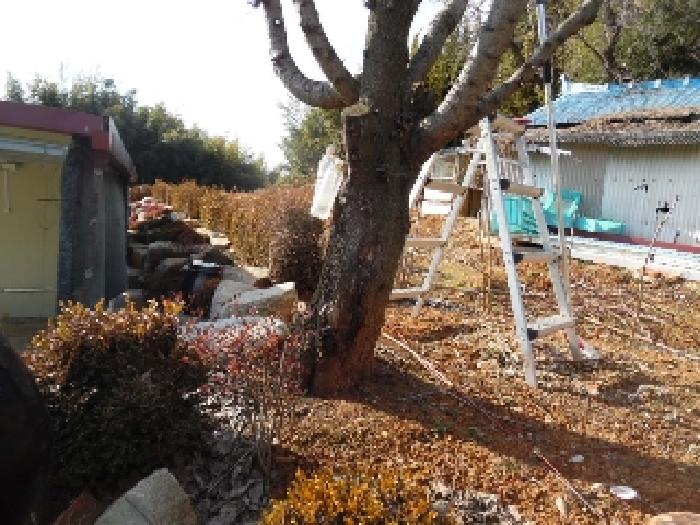 목록6. 토지(대) 전경(2)