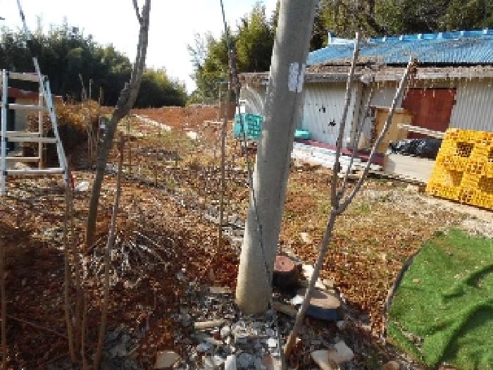 목록6. 토지(대) 전경(3)