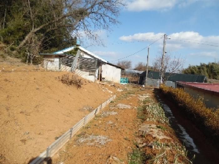 목록6. 토지(대) 전경(5)