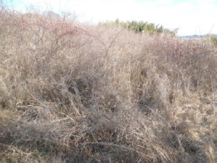 목록5. 토지(전) 전경(2)