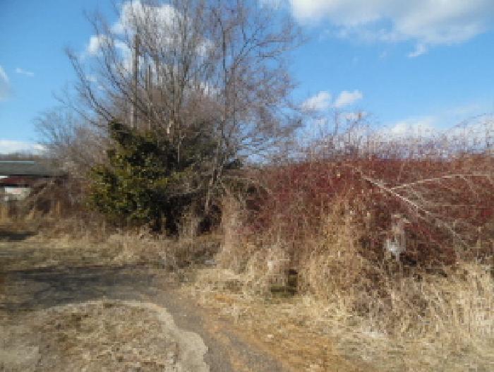 목록5. 토지(전) 전경(4)