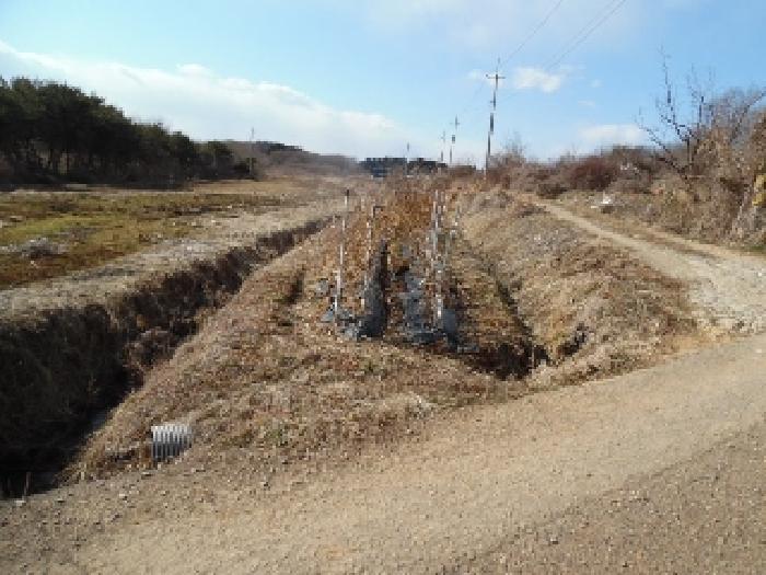 목록1. 토지(전) 전경(1)