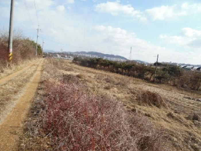 목록1. 토지(전) 전경(2)