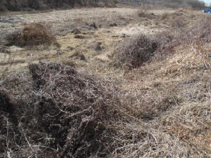 목록1. 토지(전) 전경(4)