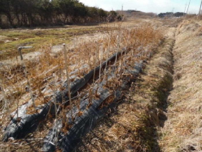 목록1. 토지(전) 전경(3)