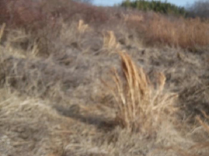 목록2. 토지(전) 전경(2)