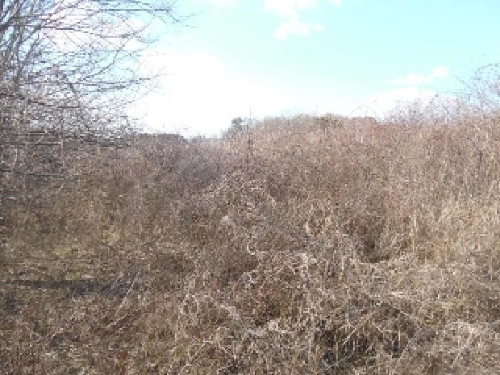 목록2. 토지(전) 전경(3)