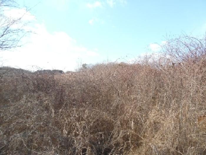 목록2. 토지(전) 전경(4)