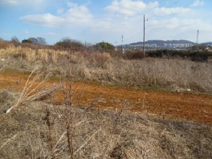 목록3. 토지(전) 전경(1)