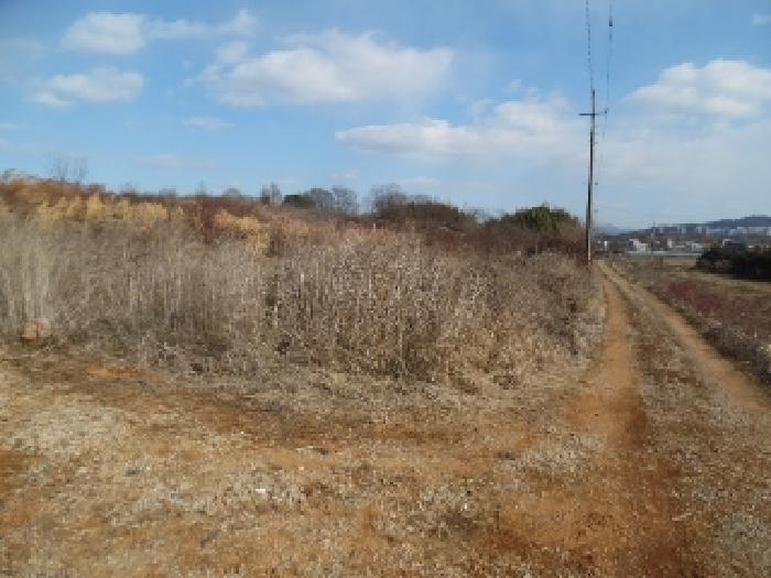 목록3. 토지(전) 전경(2)