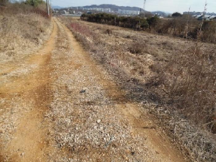 목록3. 토지(전) 전경(3)