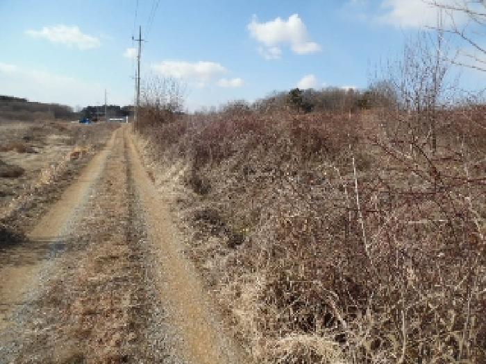 목록3. 토지(전) 전경(4)