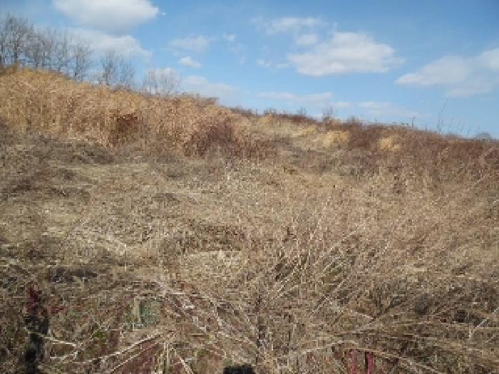 목록3. 토지(전) 전경(5)