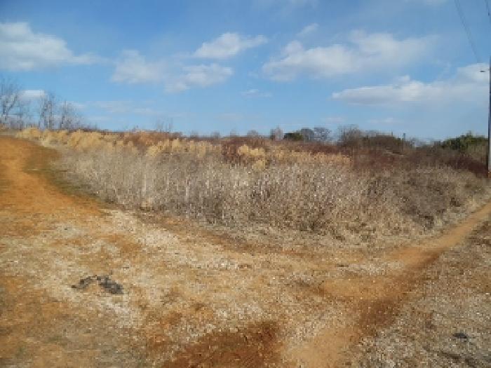 목록2, 3. 토지 전체 전경