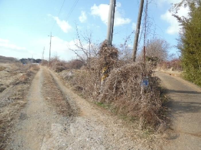 목록4. 토지(대) 전경(1)