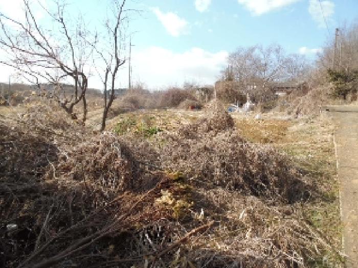 목록4. 토지(대) 전경(2)