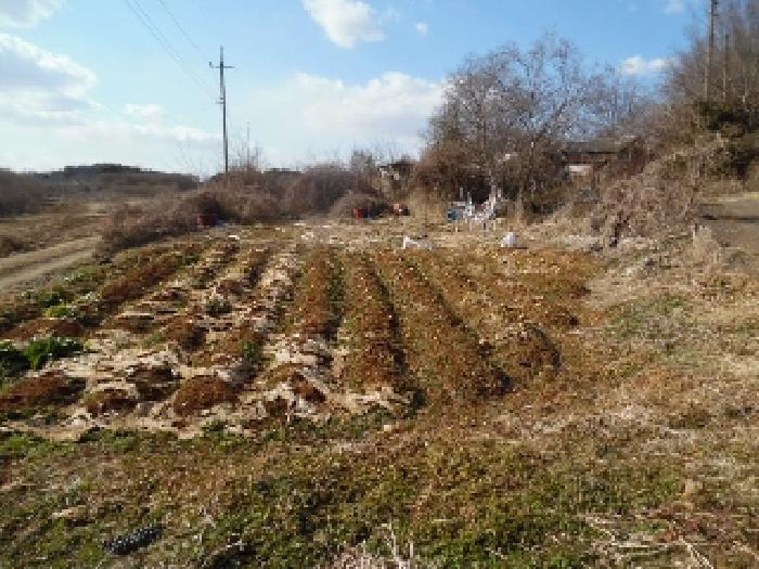 목록4. 토지(대) 전경(3)