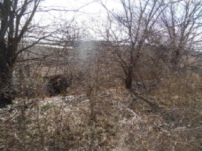 목록4. 토지(대) 전경(5)