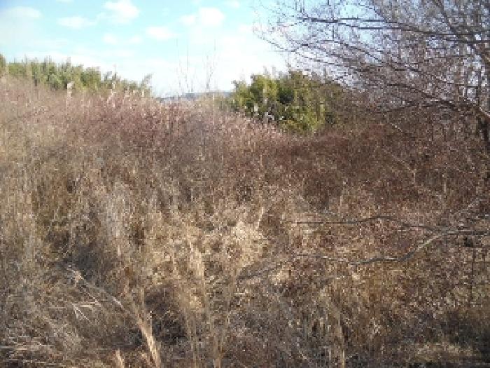 목록5. 토지(전) 전경(1)