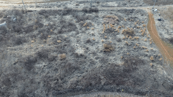 기호(2),(3) 토지전경