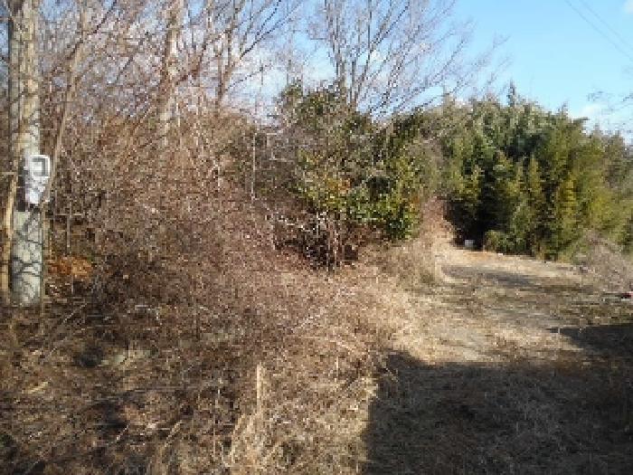 목록5. 토지(전) 전경(3)