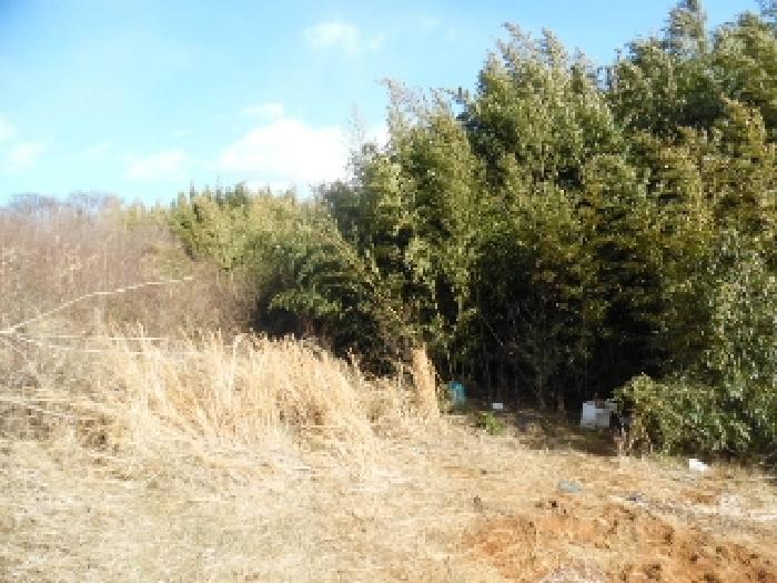 목록5. 토지(전) 전경(5)