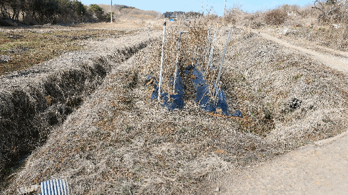 기호(1) 토지전경