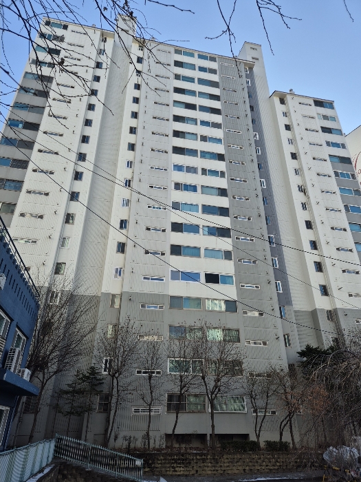 대상물건 북측에서 촬영