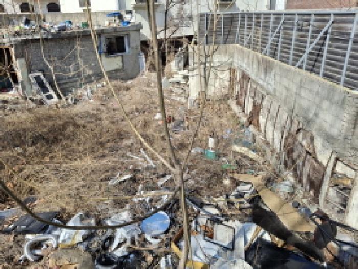 제시외 수목 모습