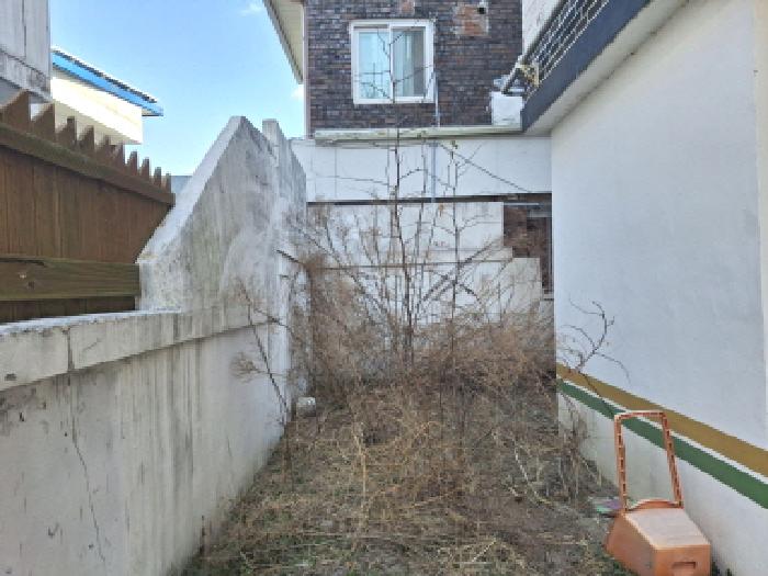 건물 서쪽 제시외 수목 모습