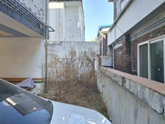 건물 북쪽 제시외 수목 모습