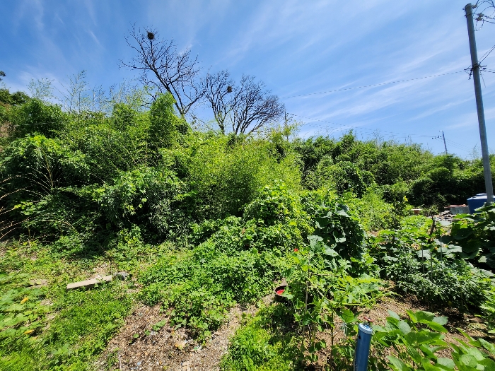 남서측에서 북동측 전경