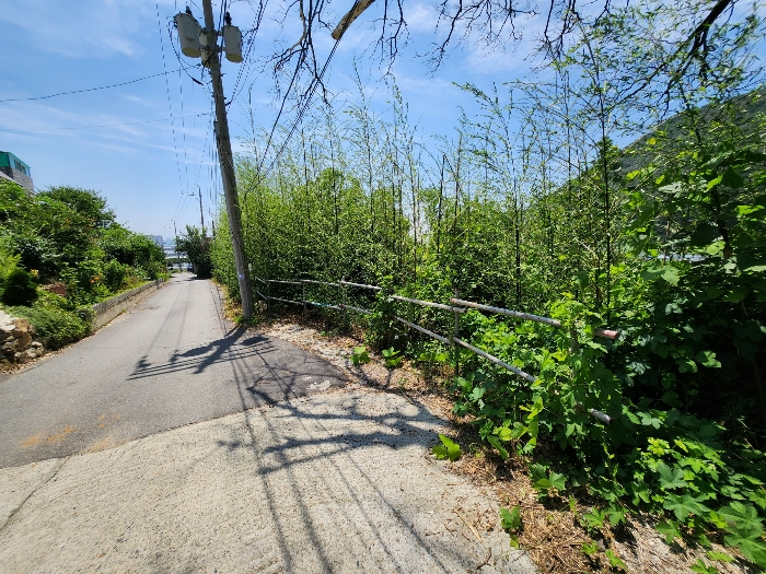 북서측에서 남동측 전경