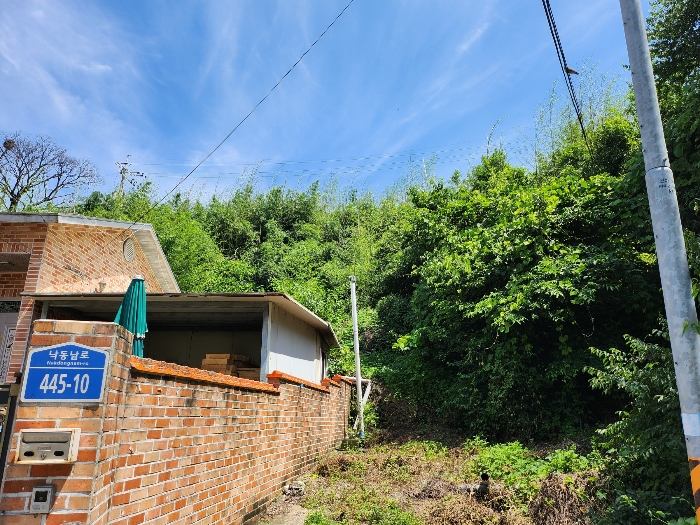 남측에서 북측 전경