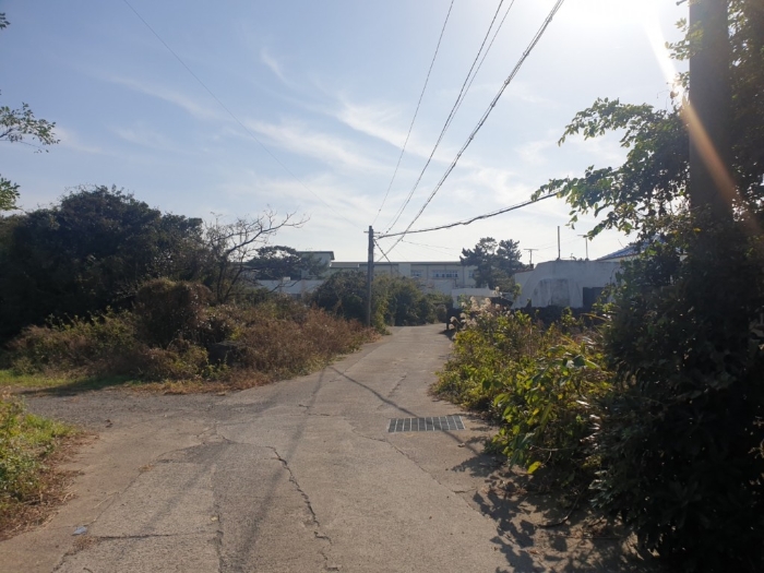 본건 전면도로 및 주위환경