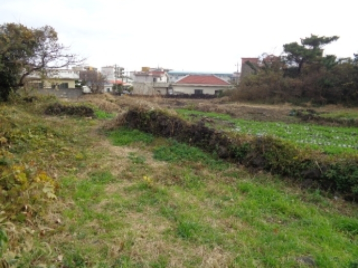 본건(신촌리 2558) 전