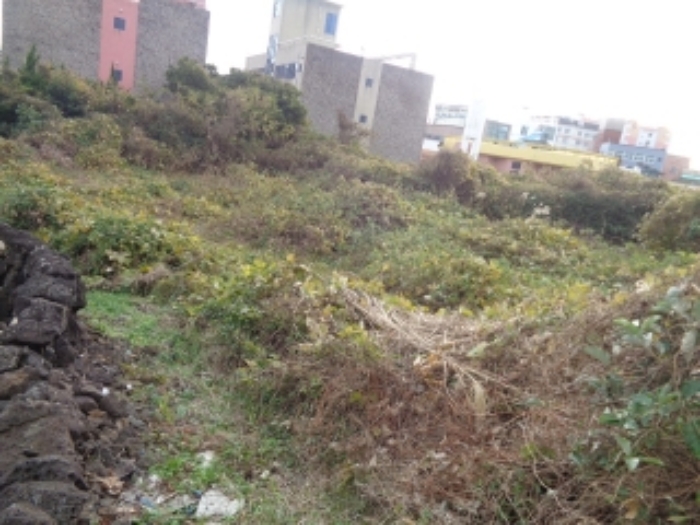 본건(신촌리 2558) 전