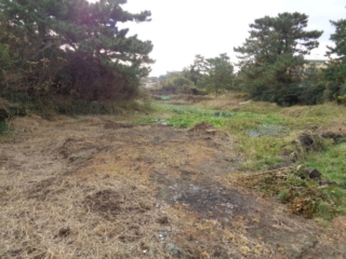 본건(신촌리 2558) 전