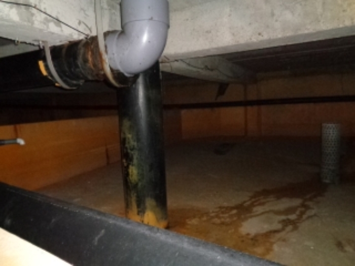 재지3.(신풍리 17) 양어장 내부