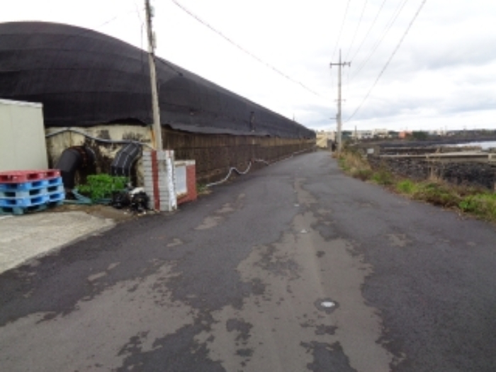 본건 부동산 인접 도로 전경